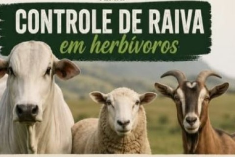 Defesa Agropecuária promove Roda de Conversa sobre controle da Raiva em São Sebastião da Grama