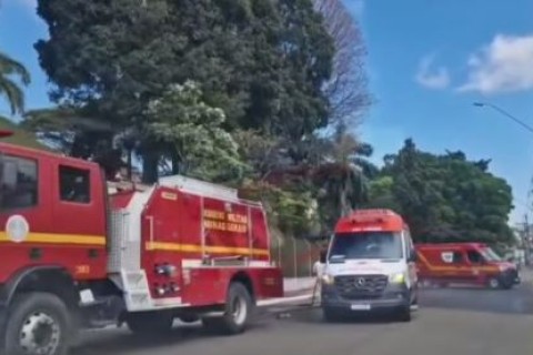 Idoso de 73 anos é internado em estado grave após ataque de enxame de abelhas em Andradas