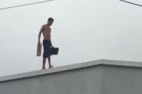 Golpistas usam desculpa de retirar raposa de telhado e furtam R$ 2,4 mil de moradora