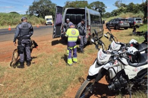 Cão farejador auxilia na apreensão de drogas em Pirassununga durante a "Operação Dia do Trabalho"
